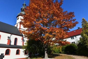 St. Vitus (Bad Salzschlirf) 
