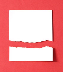 Torn paper background, empty space for text.