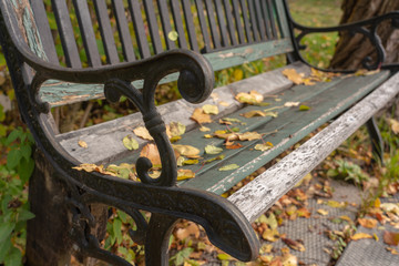 Park Bench in Fall Time with Orange Leaves