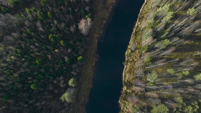 Aerial, decreasing screwdriver, drone shot, above a river, surrounded by leafless, autumn forest, on a cold, sunny, fall day, in Juuka, North Karelia, Finland