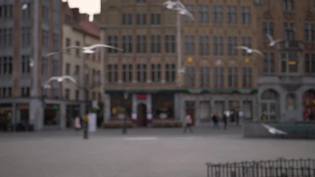Slow motion footage from a flock of birds flying around in the streets of Brugge