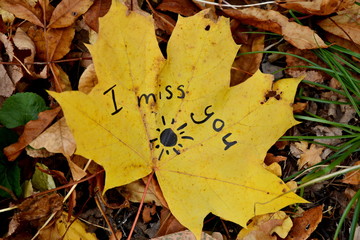 Maple Leaf with the inscription (I miss you)