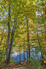 White Clouds Reflected In Rippling Water