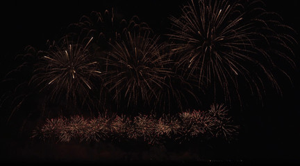 Colorful fireworks on the black sky background
