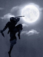 Fototapeta na wymiar A Japanese Ninja Under The Moonlight 