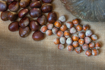 Autumnal monochromatic top view of chestnuts, hazelnuts and pumpkin. Copy space