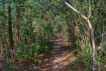 Everglades National Park is located in Southern Florida