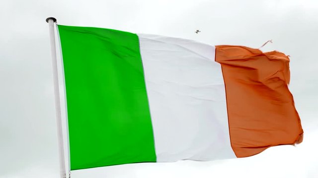 Irish flag waving in the wind with a white background