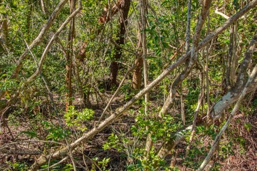 Everglades National Park is located in Southern Florida