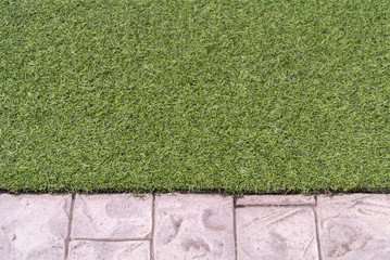 green grass on the wall