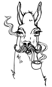 The stylized image of brutal lama with mustache and tobacco pipe. Hand drawn vector illustration