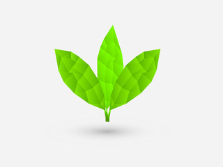 Low poly three green leaf on white background vector illustration