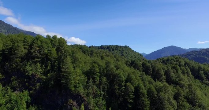 Aerial view at low altitude of the Traidor River surrounded by native and pristine forest, Chilean Patagonia