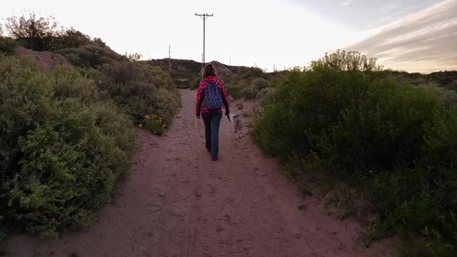 4K. Woman walking/hiking with white dog.
Mujer paseando con perro blanco.