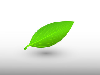 A green leaf logo with shadow on light background vector illustration