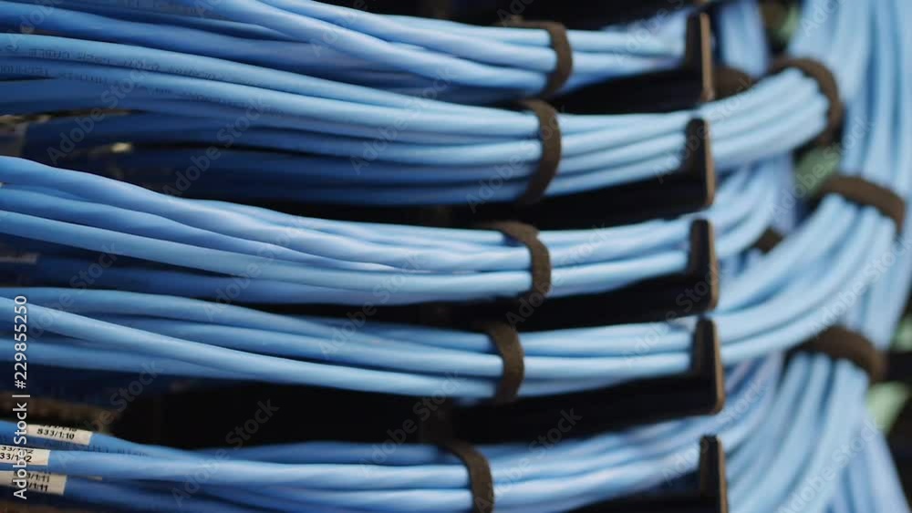 Poster close-uprack focus on rows of blue networking cables hooked onto a server rack