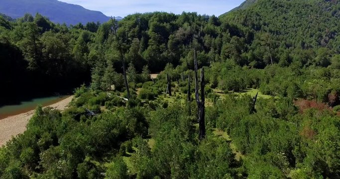 Aerial view at low altitude of the Traidor River surrounded by native and pristine forest, Chilean Patagonia