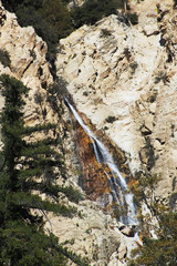 Rocky Mountain Forest Waterfall