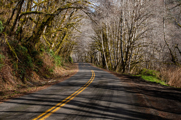 Fototapeta premium Mountain road