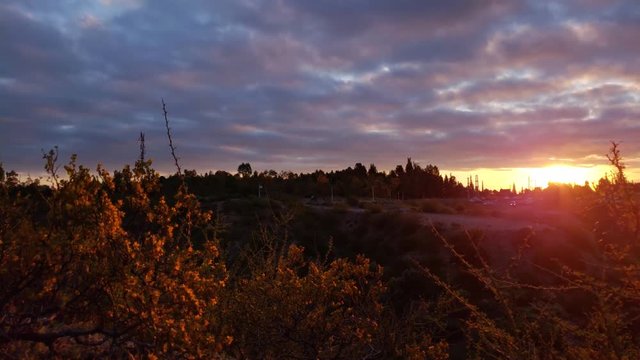 Timelapse, flowers move in front of the camera in a cloudy sunset.
Jarilla en movimiento frente a la c&aacute;mara mientras el sol aparece y se oculta tras las nubes.