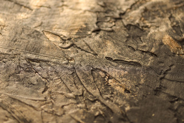 Abstract brown with gold background. Blurred, cropped shot, close-up, horizontal, nobody, texture.