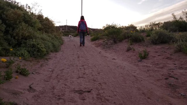Sunset, Woman walking white dog without a leash.
Mujer paseando perro blanco, al atardecer.