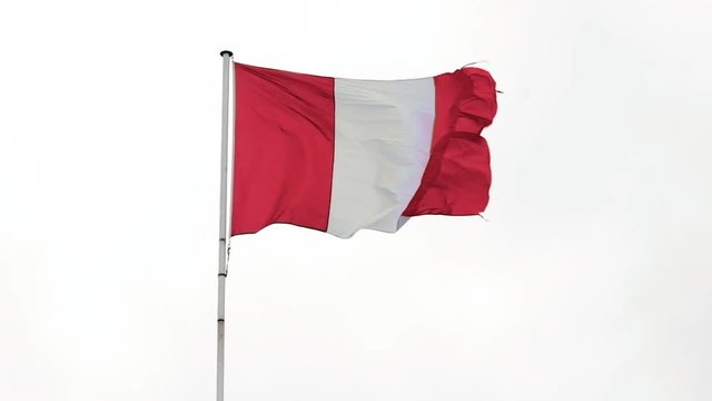 Slow motion footage of the Flag of Peru waving in the wind with a seagull flying by