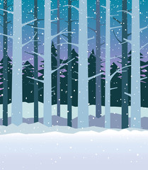 Woods in winter with falling snow. Tall bare trees on a winter night. For Christmas and New Years greeting cards, wallpaper, banners, posters.