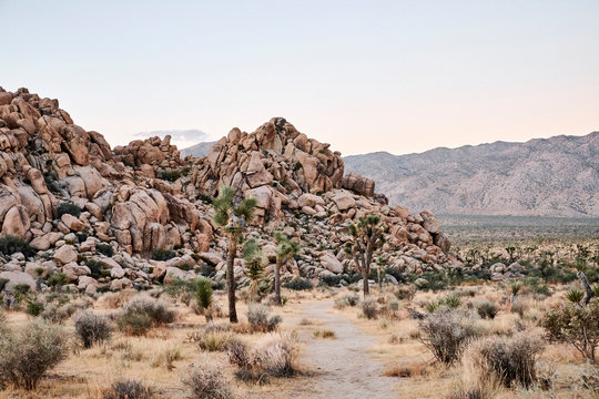 A rocky desert landscape at sunrise