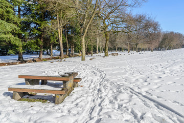 A bright, sunny winter day in a snow-covered city park, a table and a bench covered with snow, traces in the snow, geese, green trees and a blue sky