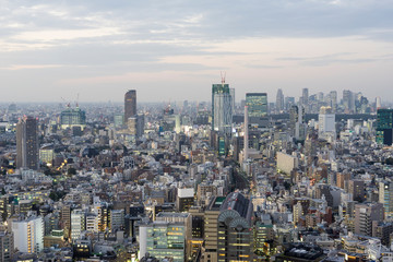 tokyo twilight