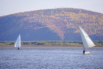 sailboats in the river