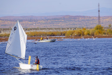 sailing in the bay