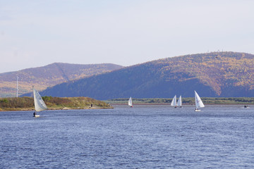sailboats in the bay