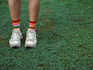 Colorful stylish socks on green field