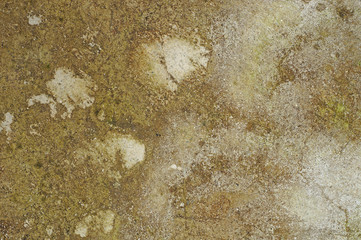 Dirty Stucco for Background or Texture 