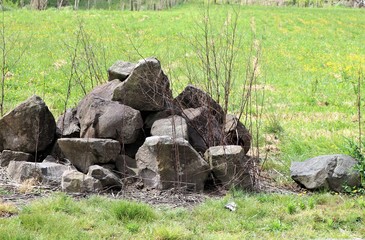 stones in grass