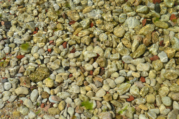 colored stones at the bottom of the sea 