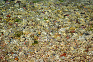 colored stones at the bottom of the sea 