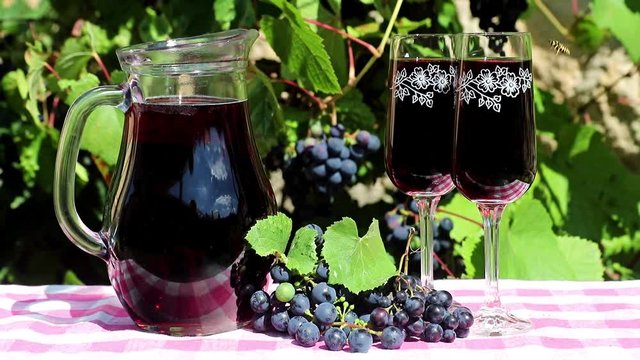 Wineglass with full carafe on a table and flying insect, a vineyard on background. Two full wine glass of red wine with grapes on vineyard.