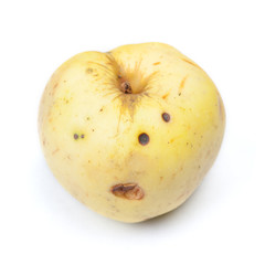 Old rotten apple