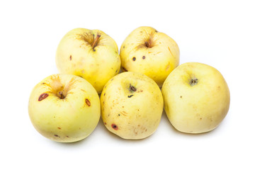 Old rotten apples