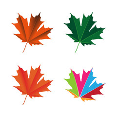 maple leaf logo icon design template vector