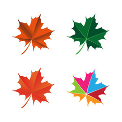 maple leaf logo icon design template vector