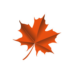 maple leaf logo icon design template vector
