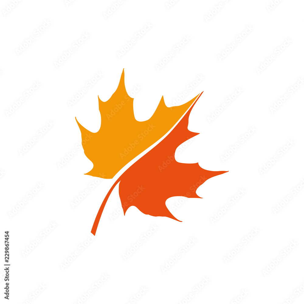 Wall mural maple leaf logo icon design template vector