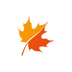 maple leaf logo icon design template vector - obrazy, fototapety, plakaty