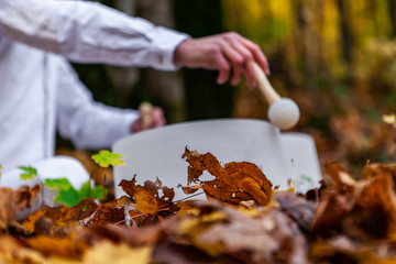 Young man plays his 2 crystal bowls in the forest while automn colors are at their best - Low angle shot with dead leaves - While wearing fancy white clothing. Pictured with a blurry background