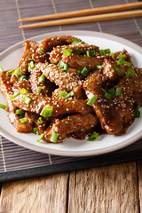 Traditional Asian beef teriyaki with green onions and sesame close-up on a plate. vertical