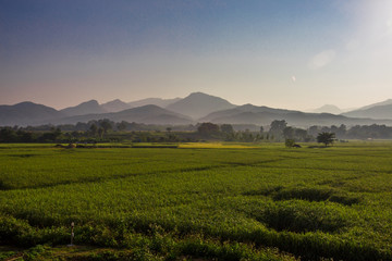 Obraz premium The foggy mountain background, morning light, paddy rice field, intimate nature wallpaper, beautiful natural scenery, colorful seasonal changes.
